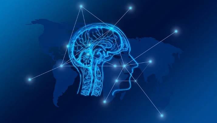 Support cognitive performance, mental clarity, and overall brain health